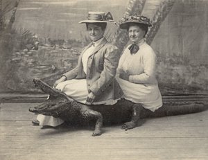 Mujer sentada sobre un caimán disecado, c.1905 (foto b/n) de Unbekannter Künstler