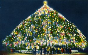 El árbol de Navidad viviente más grande del mundo, Wilmington de Unbekannter Künstler