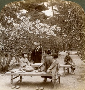 Una familia disfrutando de un picnic bajo los cerezos en flor, Omuro Gosho, Kioto, Japón, 1904 de Underwood and Underwood