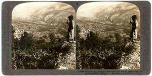 Una plantación de gusanos de seda en las montañas del Líbano, Siria, 1900s