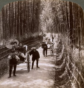 Avenida de bambú, mirando al suroeste, cerca de Kiyomizu, Kioto, Japón, 1904 de Underwood and Underwood