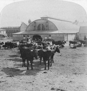 Edificio en el que se juzgó a los prisioneros de guerra, Pretoria, Sudáfrica, Guerra de los Bóeres, 1901 de Underwood and Underwood