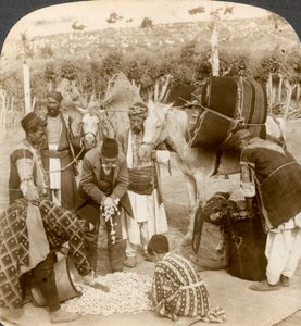 Expertos comprando capullos de seda, para exportar a Francia, Antioquía, Siria, 1900s de Underwood and Underwood