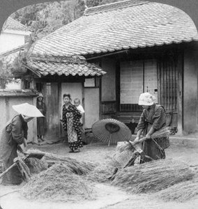 Esposas de agricultores trabajando, Iwakuni, Japón, 1904 de Underwood and Underwood