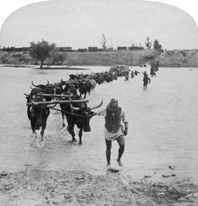 Cruzando el río Modder, Guerra de los Bóeres, Sudáfrica, 15 de febrero de 1901