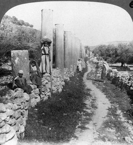 Calle de columnas de Herodes, Samaria, Palestina Israel de Underwood and Underwood