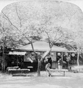 En el corazón del reino de las flores, Nara, Japón, 1896 de Underwood and Underwood