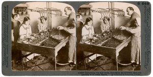 Fabricación de seda, Siria, 1900s