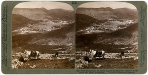 Siquem, suroeste desde el Monte Ebal, Palestina de Underwood and Underwood