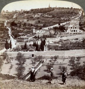 El Jardín de Getsemaní y el Monte de los Olivos, Palestina, 1908 de Underwood and Underwood