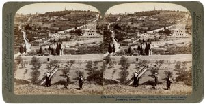 El Jardín de Getsemaní y el Monte de los Olivos, Palestina, 1908