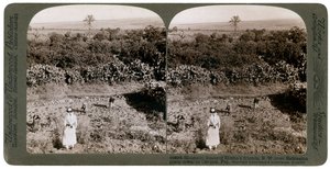La vista noroeste desde Shunem, a través de la llanura de Esdraelon, hacia el Carmelo, 1900s de Underwood and Underwood