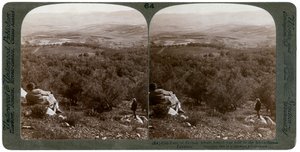 La llanura de Dotán, Palestina, 1900 de Underwood and Underwood