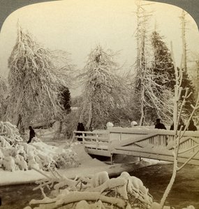 Escena de invierno, Isla Luna, Cataratas del Niágara, Nueva York, EE.UU. de Underwood and Underwood