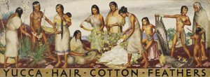 Yuca, pelo, algodón, plumas (estudio mural) de Unidentified