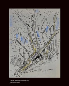 22915N - Árbol en Babiniere-2013 de Unknown