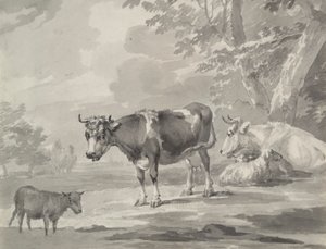 vacas y ovejas de Unknown