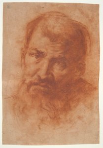 cabeza de un hombre barbudo de Unknown