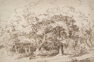 Estudio de árboles de Unknown