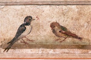 Golondrina y gorrión, pintura mural romana de Boscoreale cerca de Pompeya, siglo I