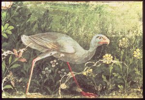 Pintura mural de un pollo sultán en un jardín, Pompeya, siglo I d.C.