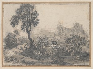 paisaje boscoso