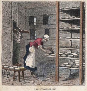 Una fábrica de queso. Ilustración del siglo XIX. Colección Bianchetti