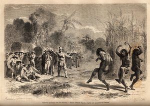 Entrevista pacífica entre la expedición del autor y algunos indios Siriniris (tribu de Perú, en la frontera boliviana). Grabado para ilustrar el viaje de Unknown artist