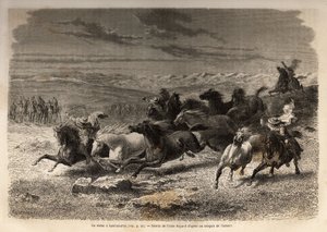 Un rodeo en Lauramarca (Bajo Perú), la captura de caballos salvajes, antes de su marcaje con las iniciales del dueño de la región, considerado como un espectáculo completo, muchos curiosos se reúnen. Grabado para ilustrar el viaje en los valles de Quinquin
