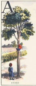 A: árbol de Unknown artist