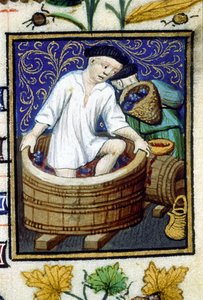 Representación alegórica de septiembre. Cosecha, desgranado de uvas. Miniatura de un manuscrito del siglo XIV. de Unknown artist
