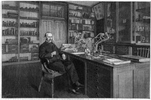 Alphonse Milne Edwards de Unknown artist
