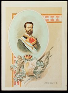 Amadeo I de Saboya Rey de España 1870-1873 (pintura sobre lienzo)