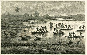 Caza de antílopes, caza anual durante la migración, los antílopes ralentizados en el agua del río son sacrificados por los guerreros Marutse, que los persiguen en equilibrio sobre canoas. Grabado para ilustrar la historia “En el país de los Marutses”, en 1