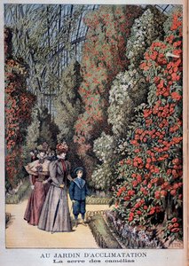 En el jardín de aclimatación: el invernadero de camelias - en “Le Petite Journal”