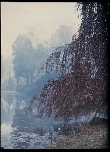 Paisaje de otoño, lago y árbol rojo en la niebla - 1920 aprox. (Autumn Landscape, Lake and red tree in the fog) Autochrome anonymous Collection privee de Unknown Artist