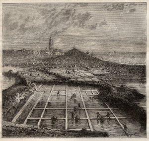 Batz sur Mer, Bretaña, Francia - Fabricación de sal. Vista de una marisma salina en el oeste de Francia - grabado en 