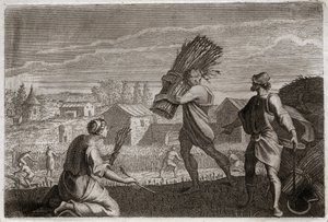 Biblia de Royaumont, Antiguo Testamento: Rut sigue a su suegra Noemí en la tierra de Judá y cosecha los campos de trigo de Booz. Ilustración de 1811.