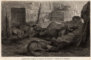 Zorros azules royendo los zapatos de los marineros dormidos de Unknown artist
