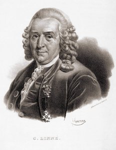 Carl Von Linné naturalista y escritor sueco (1707 - 1778). de Unknown artist