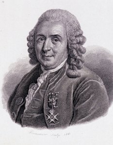 Carl Von Linné naturalista y escritor sueco (1707 - 1778) - en “Retrato de hombres útiles” de Unknown artist
