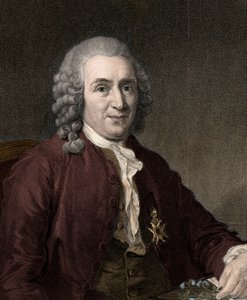 Carl Von Linne de Unknown artist
