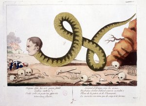 Caricatura sobre Napoleón I representado como una serpiente. Serpiente de África bajo las armas, en Francia primero vino a cubrir su desnudez; Azote de la patria y la humanidad, el monstruo vivió solo con sangre y lágrimas. - en Napoleón I, caricaturas, co