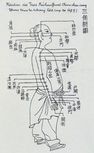 Acupuntura china: el meridiano de los tres calentadores