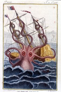 Pulpo colosal atacando un barco - grabado del libro de Pierre Denys-Montfort 