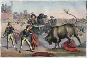Corrida en España: el picador - Toro embistiendo a un picador - grabado de “Usi e Costumi di Tutti i Popoli dell