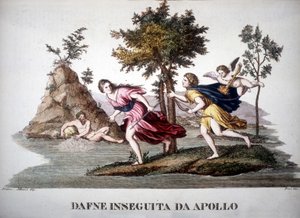 Dafne perseguida por Apolo - en Dizionario mitologico de Unknown artist