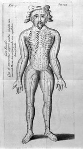 De Acupunctura por W.Ten Rhijne. Londres 1683. Primer texto occidental sobre acupuntura de Unknown artist