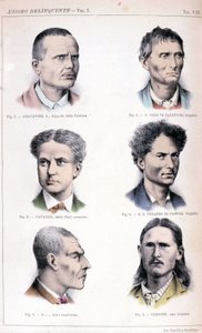 Diferentes tipos de criminales representados en el estudio de criminología “El hombre criminal” (L