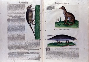 Doble página de Historia Animalium por Conrad Gesner, Tiguri de Unknown artist